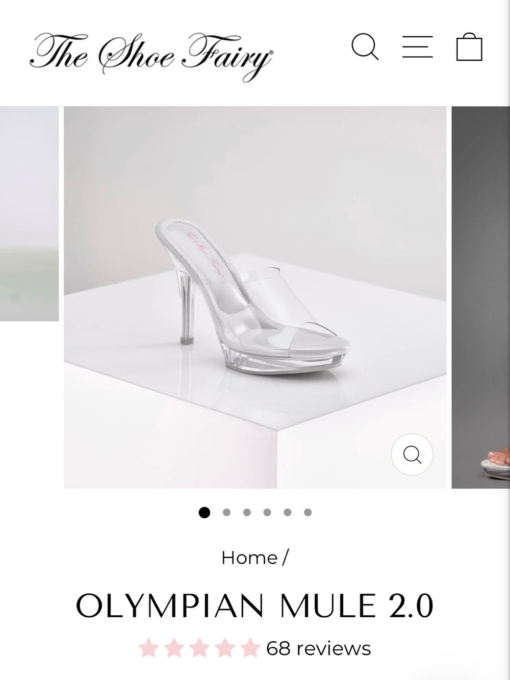 Clear Olympian Mule 2.0 4.5” Heel brand new with out tags never worn on stage
